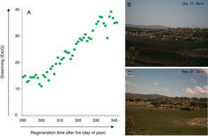 Post-fire vegetation recovery scheme of a wet grassland habitat at Serra do Cipó, south of Espinhaço Mountain Range, Minas Gerais State, Brazil. (A) Graphic representing a camera derived vegetation index (Excess Green) extracted from a set of photographs showing the greening curve after a fire event. (B) First day after fire event as represented by the day of year 291; (C) vegetation recovered after 34 days; Green dots represent Green daily value of the 90th percentile of the Excess green index (90th ExcG) from digital images taken by a time lapse camera every hour, from 6:00 h to 18:00 h.