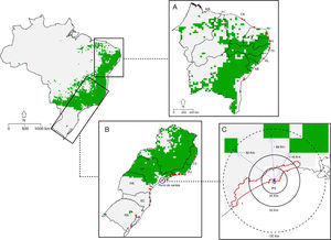 Binary map for the occurrence of Corvus albus in Brazil. (A) Northeastern coast of Brazil, (B) Southeast coast of Brazil, (C) minimum distance to closest suitable area. Red stars are ship ports, the blue circle identifies Santo's port (Porto de Santos), while the blue dot is the last occurrence record of C. albus. In C, scale is provided as different circumference distances. Numbers 1, 2 and 3 and blue dot arrows indicates the nearest pixel and distance from the last occurrence respectively.