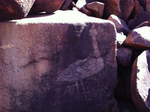 Example of engraved rock art within landscape of Burrup—an animal and animistic spirit.