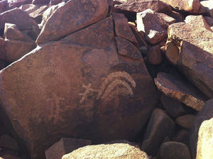 Example of petroglyphs with complex symbolic and sacred meanings (Murujuga/Burrup).