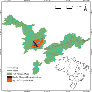Location of the study area in Tijuca National Park, Rio de Janeiro City, southeastern Brazil The orange polygon represents the 100% Minimum Convex Polygon (MCP) for all camera traps where red-humped agoutis Dasyprocta leporina individuals were found until August, 2016. The red polygon represents the 95% MCP of localizations of brown-howler monkeys Alouatta guariba until February, 2017.