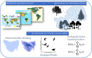 The conceptual model of the proposed framework. We use remote sensing data such as the map of the range of the species, land use and altitude maps. With biological information, such as maximum dispersion distance, daily movement capacity, home range size, habitat types and altitude of occurrence of the species, we construct habitat suitability maps and calculated landscapes indices considering the biological features and the landscape structure.