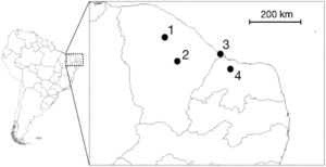 Vocal sampling locations of populations of Cactus Conure (Eupsittula cactorum). 1 – Paramoti (CE); 2 – Quixadá (CE); 3 – Icapuí (CE); and 4 – Areia Branca (RN).