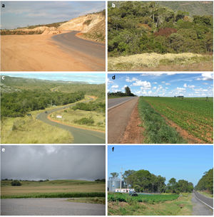 Brazilian roadsides along paved highways are the scenario of many environmental problems. (a) Area along MG-10 left alone for many years and later ill-restored with noxious weeds by the Department of Roads of the state of Minas Gerais (DER-MG). (b) Spread of ruderal and invasive species into pristine vegetation from highway MG-10. (c) “Restoration” of highway MG-735 roadside in Minas Gerais (DER-MG) with exotic African grasses and other species. (d) Use of roadside along highway GO-118 (Brasilia-Alto Paraíso) to expand the plantations of soybean and bean. (e) Plantation of corn to the very edge of the RS-472 in Rio Grande do Sul state. (f) Plantation of soybean and plantation/invasion of pine trees along BR 290 in the Pampa, Rio Grande do Sul state.