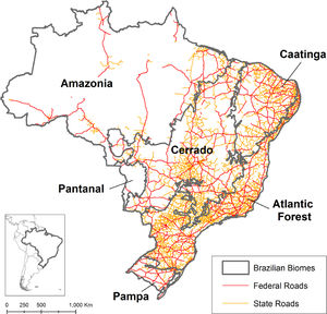 Distribution of paved state and federal roads within Brazilian biomes: Amazonia forest, Caatinga xeric shrubland, Cerrado savanna, Pantanal wetland, Atlantic Forest, and Pampa grassland.