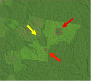 A LANDSAT image from the BDFFP study area in July 1992 showing fragments of different sizes and vegetation of different ages at Fazenda Porto Alegre. The largest fragment (100-ha, yellow arrow) is surrounded by both a mature border and matrix, whereas the smaller two fragments (1- and 10-ha, red arrows) are surrounded by young borders and a mature matrix (from http://glovis.usgs.gov).