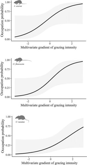 Occupation probability as a function of the gradient of grazing intensity. Values of the multivariate gradient of grazing intensity were extracted from Axis 1 of the Principal Coordinate Analysis (Fig. S1.2). The lowest negative values indicate the highest grazing intensities, whereas the highest positive values indicate the absence of grazing.
