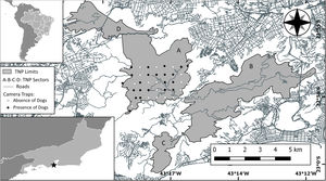 Study area (Tijuca National Park) with Brazil and Rio de Janeiro insetted (TNP is represented with a black star into the Rio de Janeiro inset). Park area is showed in gray as well as his sectors: (A) Floresta da Tijuca (where the study was carried out), (B) Serra da Carioca, (C) Pedra Bonita/Pedra da Gávea and (D) Pretos-Forros/Covanca. Within the Floresta da Tijuca sector, black dots denotes camera trap stations that detected domestic dog presence, white dots denotes camera trap stations that did not detect domestic dogs. Gray lines are paved roads located inside and around the Park.