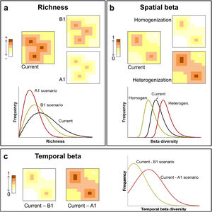 Climate changes acting on diversity patterns. The current and future species richness (A), current and future spatial beta diversity (homogenisation and heterogenisation processes) (B) and temporal beta diversity (C). Changes in the patterns of diversity driven by two climate change scenarios: an optimistic future of decline (scenario B1) or a pessimistic future of increase (scenario A1) in greenhouse gas emission standards by the year 2100.