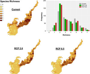Climate change acting on spatial patterns of species richness. Species richness of primates in the current, in the optimistic (RCP 2.6) and the pessimistic (RCP 8.5) scenarios of climate changes in the Brazilian Atlantic Forest. Histogram showing the frequency of cells with different richness values in the current and future scenarios.