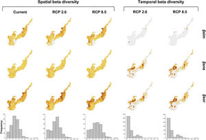 Climate change acting on spatial and temporal patterns of beta diversity. Spatial beta diversity of primates in the current, the optimistic (RCP 2.6) and the pessimistic (RCP 8.5) scenarios of climate change, and temporal beta diversity reflecting the change in primates species composition between current-optimistic (RCP 2.6) and current-pessimistic (RCP 8.5) scenarios of climate changes in the Brazilian Atlantic Forest. Beta diversity (βsor) is fractioned in turnover (βsim) and nestedness (βsne). Histograms represent the frequency values of βsor for each scenario.