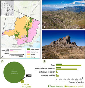 A. Geographic distribution of campo rupestre (sensuSilveira et al., 2016) and the other biomes (IBGE 2018) in Minas Gerais; B. Typical landscape of campo rupestre at Serra do Cipó and campo de altitude (C) at the Parque Nacional do Itatiaia; D. Overlap of plant species between campo rupestre and the list of indicator species from the Resolution CONAMA 423/2010. Circle size refers to number of species; E. Total number of species in the Resolution CONAMA and total number of species in the Resolution and that occurs in campo rupestre. Photos in B and C by Augusto M. Gomes.