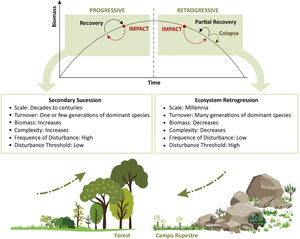 Theory of ecosystem retrogression (modified from Walker and Reddell, 2007). Secondary succession is applied to forests whereas the retrogressive phase best characterize succession in campo rupestre. The fundamental differences in secondary and retrogressive succession are shown in the boxes above the draws, but the Y-axis depicts changes in aboveground biomass as an example to illustrate different properties between the two processes. The green arrows indicate the trajectory of succession with time.