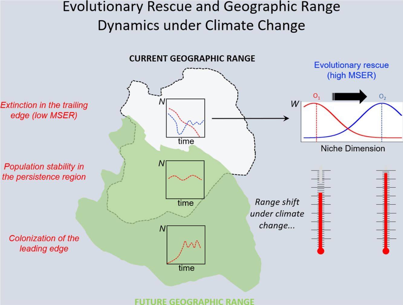 Will life find a way out? Evolutionary rescue and Darwinian adaptation ...