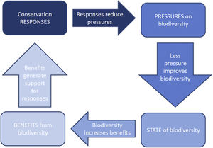 Relationship between PSRB indicators. Adapted from Sparks et al. (2011).