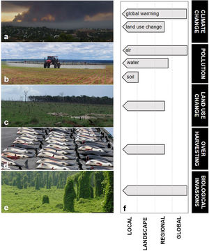 (a–e) Main anthropogenic drivers of environmental change. (a) Climate change (greenhouse gas emission by wild fires in California, USA). (b) Pollution (pesticide application in Southern Amazon, Brazil). (c) Land use change (conversion of rainforest into pasture in Southern Amazon, Brazil). (d) Overharvesting (whaling of Atlantic White-sided Dolphins in the Faroe Islands, Denmark). (e) Biological invasions (the vine kudzu growing over native vegetation, eastern USA). (f) The variable spatial extent of drivers of environmental change on local ecological entities (population, community or ecosystem). Using pollution as an example, a local ecological entity could be under the influence of local deposition of solid waste, of regional release of untreated wastewater in the drainage network upstream, or of global atmospheric pollution of carbon dioxide, nitrate, dust, and persistent organic pollutants. The typical maximum spatial extent of influence of each driver on a local ecological entity is depicted. Two different mechanisms driving ‘climate change’ are represented, one of global (greenhouse effect) and one of landscape-to-regional extent of influence (land use change). Figures a, d and e courtesy of Nerval (Public Domain in Wikipedia Commons), Erik Christensen (GFDL/Creative Commons; image cropped) and Kerry Britton (USDA Forest Service, Bugwood.org).