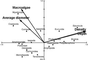 Canonical Correspondence Analysis (CCA) of vagile macroinvertebrates associated with rhodoliths from euphotic and mesophotic zone in the Fernando de Noronha Archipelago. The two axes explain 85 % of the variance of the data. Only average diameter, depth, biomass of macroalgae and density of rhodoliths in the bed were responsible for the observed pattern.