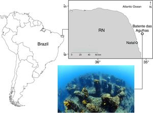 Location of the study area “Batente das Agulhas”. The reef is located 25 km distant from the coast of Rio Grande do Norte state, Northeastern Brazil (05°33′52′′S 35°04′21′′W).