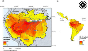 Neotropical primate species richness (right) and richness in the Amazon basin. The red-to-yellow gradient color indicates high-to-low richness of primates that are endemic to the Amazon. (a) A west-eastern gradient from the Andes mountains toward the Atlantic Ocean is observed, where the main tributaries of the Amazon river delimit the distribution of several primate species. (b) The Amazon hosts the higher gridded richness of primates in the Neotropics.