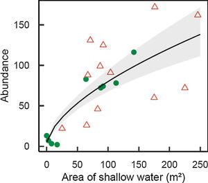 Abundance of Melanorivulus megaroni as a function of the area of shallow water in each 50-m stream section (green solid circles: streams in forested watersheds, red open triangles: streams and reservoirs in deforested watersheds). The line is that predicted by a negative binomial generalized model with random effects due to streams. The grey area shows ± 1 standard errors of the estimated values by the model, accounting for all sources of variation (fixed and random effects).