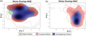 Niche similarity test represented along two Principal Component Analysis (PCA) calibrated axes, (a) between NAE, this is, comparing the native portion of the niche of Trachemys scripta with the invaded portion of niche (considering only invasive range with establishment evidence); and (b) between NAC, this is, comparing the native portion of the niche and the invasive portion of the niche (considering all the records in invasive range). For NAE: PC1 = 62.01%, PC2 = 25.76%; for NAC: PC1 = 63.75%, PC2 = 24.5%. PC is the contribution (in %) for each principal component of the analysis. The solid and dashed contour lines illustrate 100% and 50%, respectively, of the available (background) environment. Color shading represents the density of the occurrences by cell.