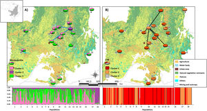 Bayesian clustering for microsatellite loci and CYB of 18 Glossophaga soricina populations in Brazilian Cerrado. The black full lines indicate possible genetic discontinuity between localities based on Delaunay’s triangulation for microsatellite loci and green for CYB. Different colors were assigned for each cluster according to the figure legend. The circle sections represent the cluster frequency in each sampled population. See Table S1 for population code and locality. Land use map was obtained from the MMA (Brazilian Ministry of Environment) database http://mapas.mma.gov.br/mapas/aplic/probio/datadownload.htm.