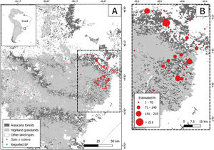 A: Individuals of Salix × rubens in the highlands of southern Brazil and reported experimental and/or cultivation plots (EP) in literature. B: Detailed map of the most affected region (dashed line) showing the estimated number of individuals (red circles).