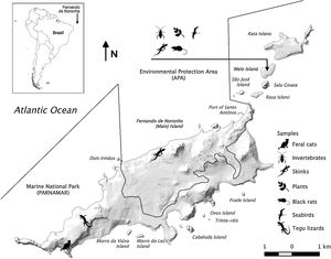 Study area in Fernando de Noronha Archipelago. The two islands where the field work was carried out, Main and Meio Islands, indicating where each consumer and food item were collected.
