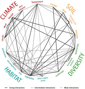 Major and minor regional factors that sustain the Campo Rupestre ecosystem through their interactions. These factors are color-categorized according to their correspondent major driver (Microclimate, Habitat, Diversity, and Soil). The multiple interactions are represented through lines that were classified according to their significance in the ecosystem functioning (strong —, intermediate ⋯ ⋯, and weak — interactions). For an in-depth discussion, including the interaction