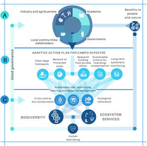A framework showing the conceptual basis of the Action Plan for the Campo Rupestre (APCR). The framework is divided into 3 sections: (A) major societal stakeholders, (B) proposed actions to support the APCR, and C expected outcomes after implementing the APCR strategies. The ultimate goal is to promote human well-being benefiting people and nature. The framework also illustrates feedback loops that positively influence the sustainable use of the Campo Rupestre.