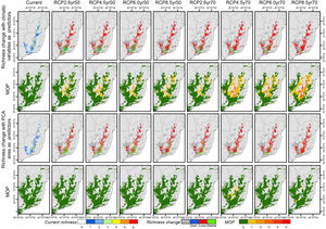 Changes in richness and distribution of bird species endemic to eastern Brazilian mountaintops, current scenario (first column, lines 1 and 3), in relation to the values of 2050 and 2070 and different scenarios of gas emissions (RCP), considering two sets of predictor variables (red color indicates loss of suitable conditions for all species; green color indicate stability and blue gain of range for one or more species). Lines two and four show the results of the Mobility-Oriented Parity (MOP) analysis, which indicates areas of uncertainty for one or more species (with possibility of model extrapolation) (see Cobos et al., 2019; Owens et al., 2013).