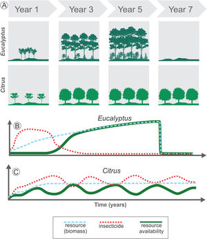 Long- and short-term changes in temporal heterogeneity in agricultural landscapes. Long-term variations are associated with land cover changes or harvest practices (A). For example, Eucalyptus plantation leads to high initial disturbance in the landscape when compared to Citrus, due to the fast growth of the trees in the initial years, increasing the resource availability for species rapidly (blue dashed line in B). After 4 to 7 years the crop is totally harvested, decreasing drastically the resources available (blue dashed line in B). Short-term changes are associated with management practices used during the crop cycle (B and C). Before harvesting, Eucalyptus may provide stable amount of resources over the years for some species, which depends on the biomass as resource (green solid line in B). This perennial crop also has an initial intense management with insecticides, followed by a decrease in their use (red dotted line in B). Thus, total resource availability depends on both the standing biomass and on insecticide use. Conversely, Citrus is also a perennial crop and may offer a stable biomass during the entire cycle (blue dashed line in C). However, in non-organic Citrus systems the continuous use of insecticides (red dotted line in C) or other management practices such as understory cleaning and pruning can lead to periodic variation in resource availability for some species (green solid line in C).