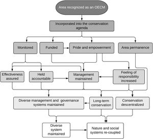 Flowchart showing the positive impacts for nature and people of recognizing areas as an OECM; boxes and linkages drawn solely on interviewees responses. OECM recognition was suggested to lead to positive outcomes at site level, such as increased feeling of responsibility and empowerment, as well as at the system level, such as the maintenance of more diverse systems and recoupling of natural and social systems.
