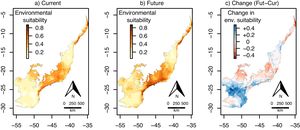 Continuous environmental suitability for Euterpe oleracea across the Atlantic Forest. (a) Current suitability; (b) future (2070) suitability; (c) change in suitability (future–current). In (c), positive (blue) and negative (red) values indicate increases and decreases in climatic suitability, respectively. (For interpretation of the references to color in this figure legend, the reader is referred to the web version of this article.)