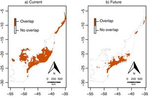 Overlap between the environmentally suitable areas of Euterpe edulis and Euterpe oleracea across the Atlantic Forest. Orange pixels are climatically suitable for both species under current (a) or future (2070; b) climatic conditions. (For interpretation of the references to color in this figure legend, the reader is referred to the web version of this article.)
