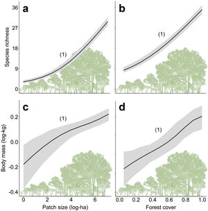 Relationships between species richness and mean body mass with patch size (a and c) and forest cover (b and d) for the assemblages of medium- and large-sized mammals of the Atlantic Forest, Brazil. Solid black lines represent the posterior mean and the grey areas the 95% credible intervals of the model predictions. The numbers in brackets give the posterior probabilities of the Bayesian regressions. The posterior probabilities are rounded to two decimals, so that “1” means “>0.995” and “0” means “<0.005”).