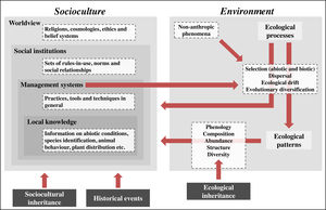 IPLC landscape transformation framework for identifying and integrating sociocultural and environmental components. IPLC’ landscape transformations occur through cultural niche construction and involve interactions among sociocultures and environments. Environment includes two components: ecological processes and ecological patterns. Pattern elements, such as species composition and abundance, can be generated through four ecological processes, which, in turn, are influenced by non-anthropic phenomena (e.g., windstorms, lightning and animal behaviors) and human management systems. Socioculture includes four components: worldview, social institutions, management systems and local knowledge. Management systems include human behaviors that transform landscapes via environmental manipulation that acts on ecological processes. Such management encompasses local knowledge and respects social institutions, which, in turn, are grounded in a local worldview. At the same time that socioculture transforms landscapes via environmental management, environment influences socioculture, either through ecological processes or ecological patterns, since both of them can influence all sociocultural components. These reciprocal relationships between socioculture and environment occur from generation to generation through cultural niche construction. For example, ecological patterns modified by one generation will be bequeathed by the next generation, so they represent an ecological inheritance. In addition, through orality, imitation and observation, the ways one generation thinks and acts (i.e., their worldview, social institutions, management systems and local knowledge) are transmitted to the next generation, so there is sociocultural inheritance across generations. Finally, historical events, by influencing socioculture, influence the way such reciprocal relationships between socioculture and environment occur in space-time, so that IPLC’ landscape transformations can best be understood by considering the role of history in shaping local sociocultures.