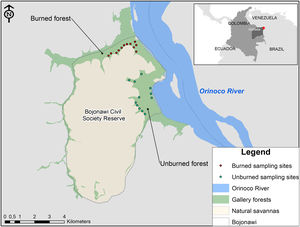 Location of the sampling sites at the Bojonawi Civil Society Reserve located in the Colombian Orinoco. Each red point corresponds to burned sampling sites, whereas green points correspond to unburned sampling sites.