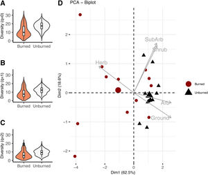 Vegetation structure and plant diversity at the Bojonawi Civil Society Reserve. (A–C) The first three Hill Numbers describing plant diversity at burned and unburned sites. Contour of violins plots provide information about the probability density of the data, boxplots within violins show median, quartiles and range. (D) Principal components analysis (PCA) that summarizes the information of the vegetation structure estimated at the study sites. Habitat variables herb=herbaceous, SubArb=subarboreal, Arb=arboreal. The biggest circle and triangle represent the centroid position in the ordination plane of burned and unburned sites.