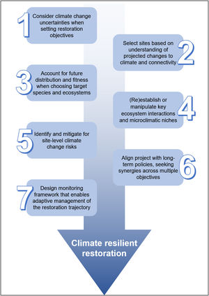 Seven areas that practitioners should consider when designing and implementing an ecological restoration project in order to build its climate change resilience.
