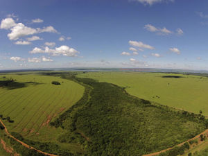 Restored wildlife corridor in Pontal do Paranapanema. (WeForest).