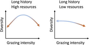 Equilibrium curves for two combinations of resource availability and long evolutionary history of grazing. They represent situations in which there is still the possibility of reversing the changes imposed by the intensity of grazing. (Adapted from Cingolani et al., 2005 and Milchunas et al., 1988).