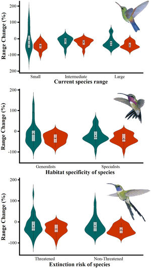 Differences in the proportion of range change (%) due to climate-induced contraction for the non-migrant hummingbird species (n = 49 spp.) in Mexico, under the two considered dispersion assumptions (contiguous dispersion in green, no dispersion in red), considering the species extinction risk, degree of geographical restriction, and habitat specificity. The Kruskal–Wallis tests only showed statistically significant differences (χ2 = 11.9, df = 5; P = 0.03) for species vulnerability among the range size categories. Birds shown in the figure are Saucerottia cyanura (small range; upper panel), Calothorax pulcher (specialist; in the middle panel), and Doricha enicura (Threatened; lower panel). The bird pictures were taken from "Colibríes de México y Norteamérica" (Arizmendi and Berlanga-García, 2014)