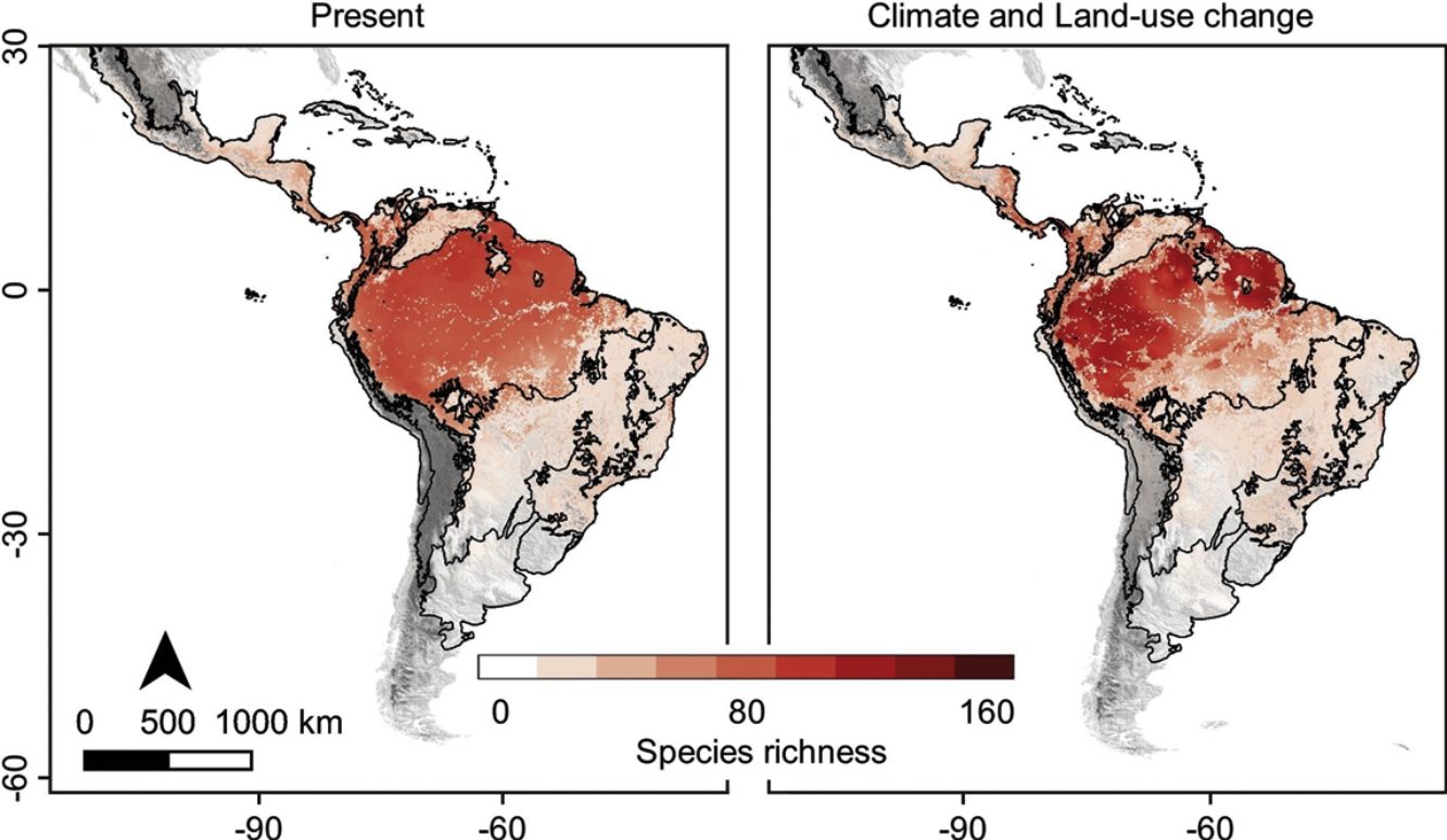 Combined impacts of climate and land use change and the future ...