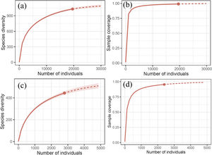 Species richness and completeness accumulation curves of Erebidae. (a) Rarefaction and (b) sampling coverage curves for the entire country; (c) and (d) refer to Chiapas’ rarefaction and coverage, respectively.