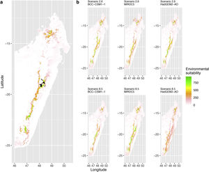 Current (a) and projected future (b) environmental suitability for Mantella aurantiaca using the Chelsa baseline climate, no prevalence setting and a restricted background. The background was filtered to include only the eastern rainforest corridor. X and Y axes represent the coordinates (WGS84). Black points represent the occurrence data. Future projections (2070) were estimated from three Global Circulation models (GCM) and two RCP scenarios. Top panels represent the most optimistic scenario (RCP26) and bottom panels represent the most pessimistic scenario (RCP85). Models produced similar results when setting prevalence to 0.5 (Equal total weights).