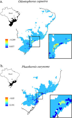 Change in Combined Landscape Suitability (CLS) values between future and current scenarios. As an example of the 11 species of this study, it shows the distribution area of two species with extreme dispersal ability: a. Odontophorus capueira and b. Phaethornis eurynome. Each unit of the map is a landscape (hexagon of 50,000 ha), inside the Atlantic Forest in Brazil. As CLS ranged from 0 to 1, the change values could range from -1 to 1, although very low values were found. Due to the high similarity between current and future results, only current CLS maps for all 11 species are presented in Fig. S2.