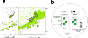 (a) Location of non-defaunated (1) and defaunated (2) sites in the continuous Atlantic rainforest. Both sites are located at Parque Estadual Serra do Mar, São Paulo, Brazil. The areas are 15 km apart and split by a highway (BR383). (b) Experimental design. 15 paired 5 m × 3 m open control and closed plots were set up at every site. Within each plot, damage of artificial seedlings, seedling recruitment, plant biomass and species richness were measured in three different subplots of 1 m2 every 6 months. Forest structure was measured in a 10 m radius from the center of the experimental plots.