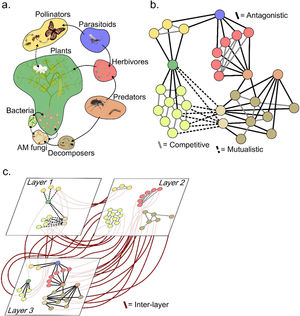 Multilayer networks in agro-ecosystems. (a) A diagrammatic representation of a conceptual ecological network at a field scale. (b) A graphical representation of the network of multiple species interactions in (a), demonstrating how apparent intractable biological complexity can be systemised for mathematical analysis. (c) A multilayer representation of the network where intra-layer interactions are the same as in (b), yet inter-layer interactions are present connecting the same populations of organisms interacting across the multiple layers. The layers here represent different types of interaction. Layers, however, could also represent different fields, habitats, seasons, years or other discrete spatial or temporal units. Node colour indicates the role of the organisms within the network (e.g., symbiont, pathogen, pollinator, plant, herbivore, parasitoid, detritivore and predator). Link colours and line types represent different types of intra- and inter-layer interactions. Not all potential intra-layer interactions have been included in (a), (b) or (c) for illustrative purposes, for example antagonistic interactions between predators, parasitoids, pollinators and decomposers.