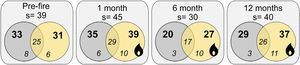 Venn diagrams showing the total number of ant species (s), the number of species on each treatment (bold numbers), and the number of exclusive and shared species (italic numbers) between treatments for each sampling occasion (Pre-fire, 1-, 6- and 12-months post-fire). Burned plots in yellow, controls in grey.